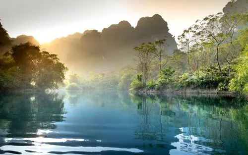 工业高标准